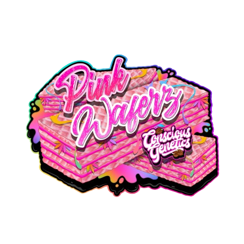 Pink Waferz